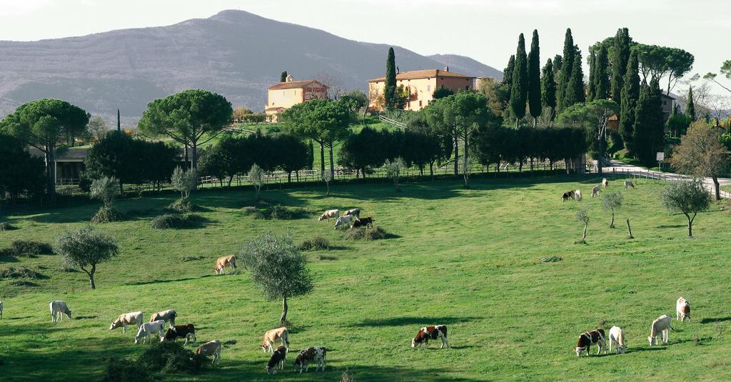 Poggiovalle Tenuta Italiana Belvedere  외부 사진